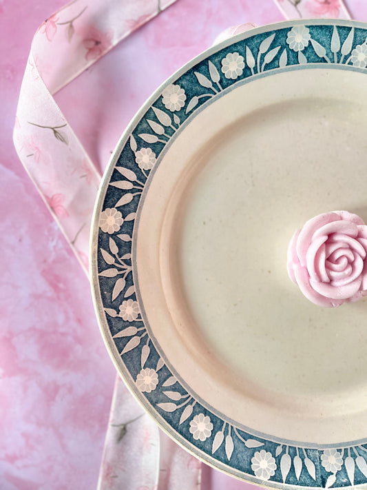 Plat Terre de Fer Varsovie