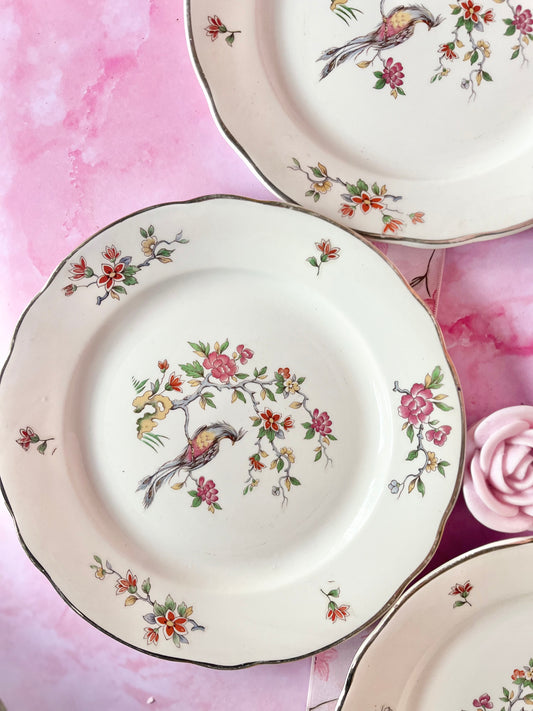 Assiettes à dessert Digoin Condé (4)