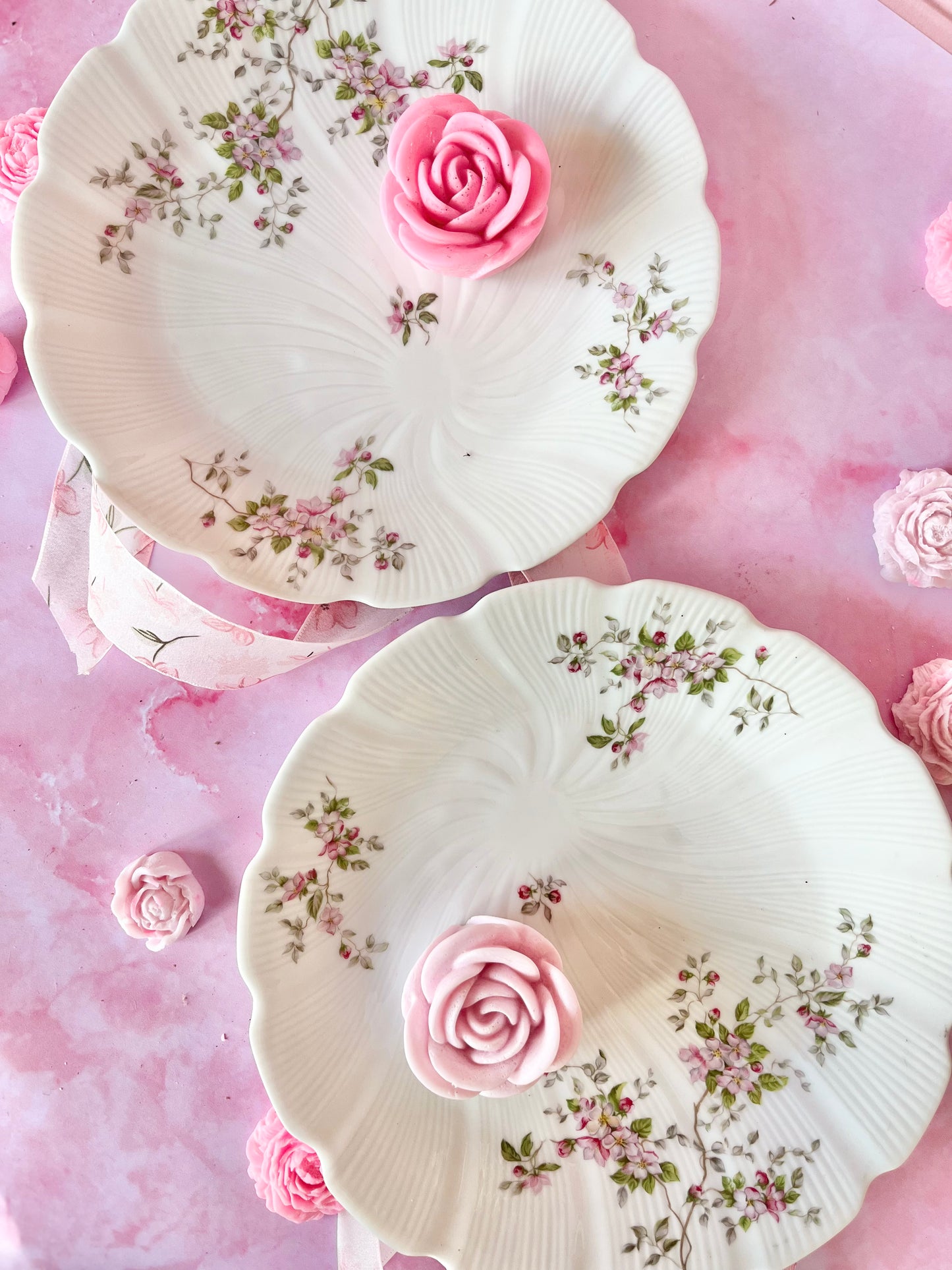 Assiettes Limoges Dorothée (2)