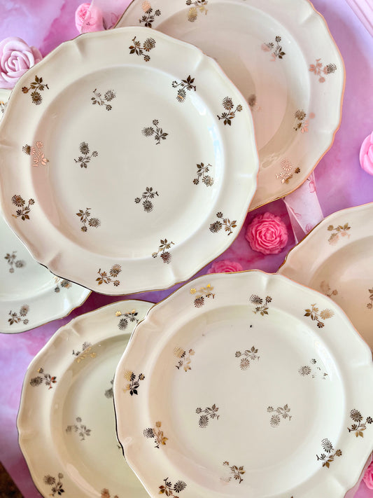 Assiettes plates Limoges Dorothée (6)