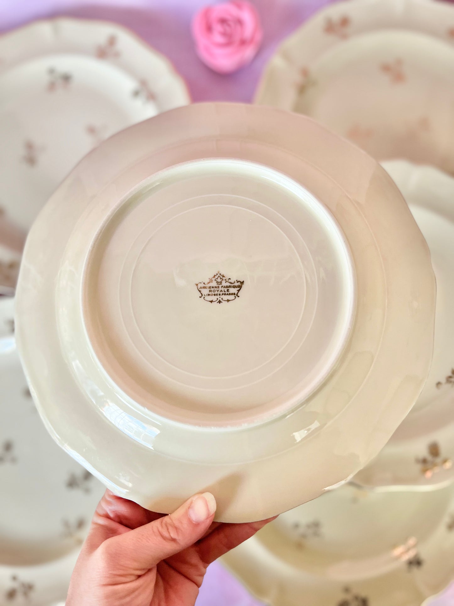 Assiettes plates Limoges Dorothée (6)