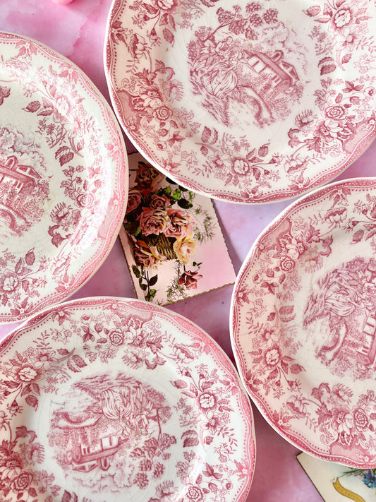 Assiettes plates Bridget (6)