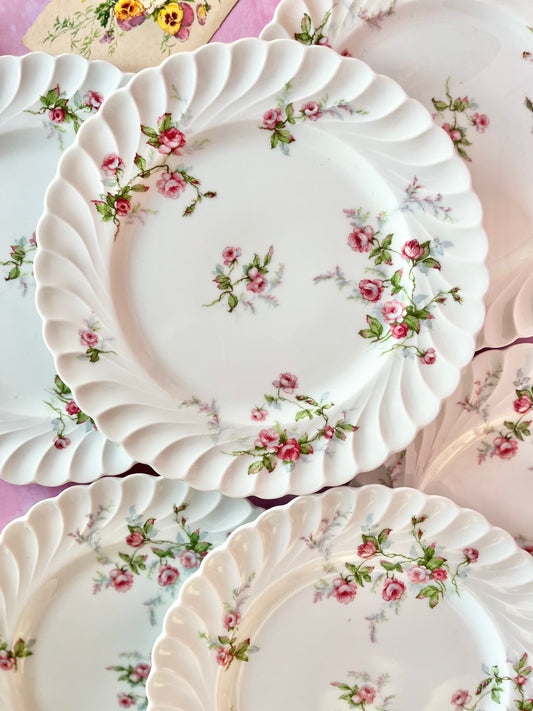 Assiettes plates Sylvie (6)