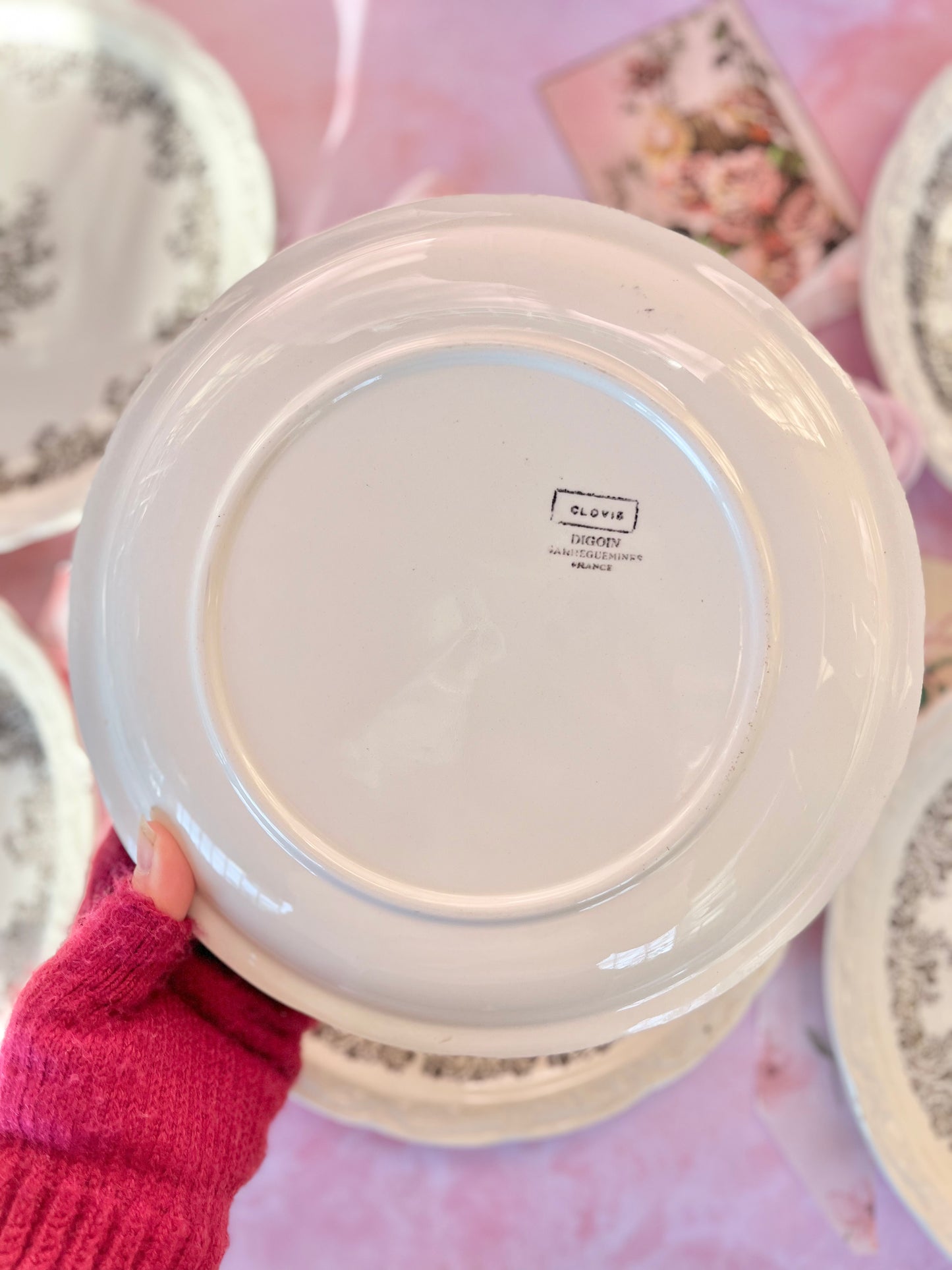 Assiettes Digoin Clovis (6)