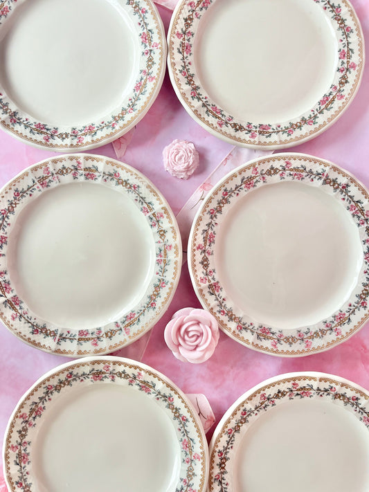 Assiettes à dessert Bernardaud Limoges (6)