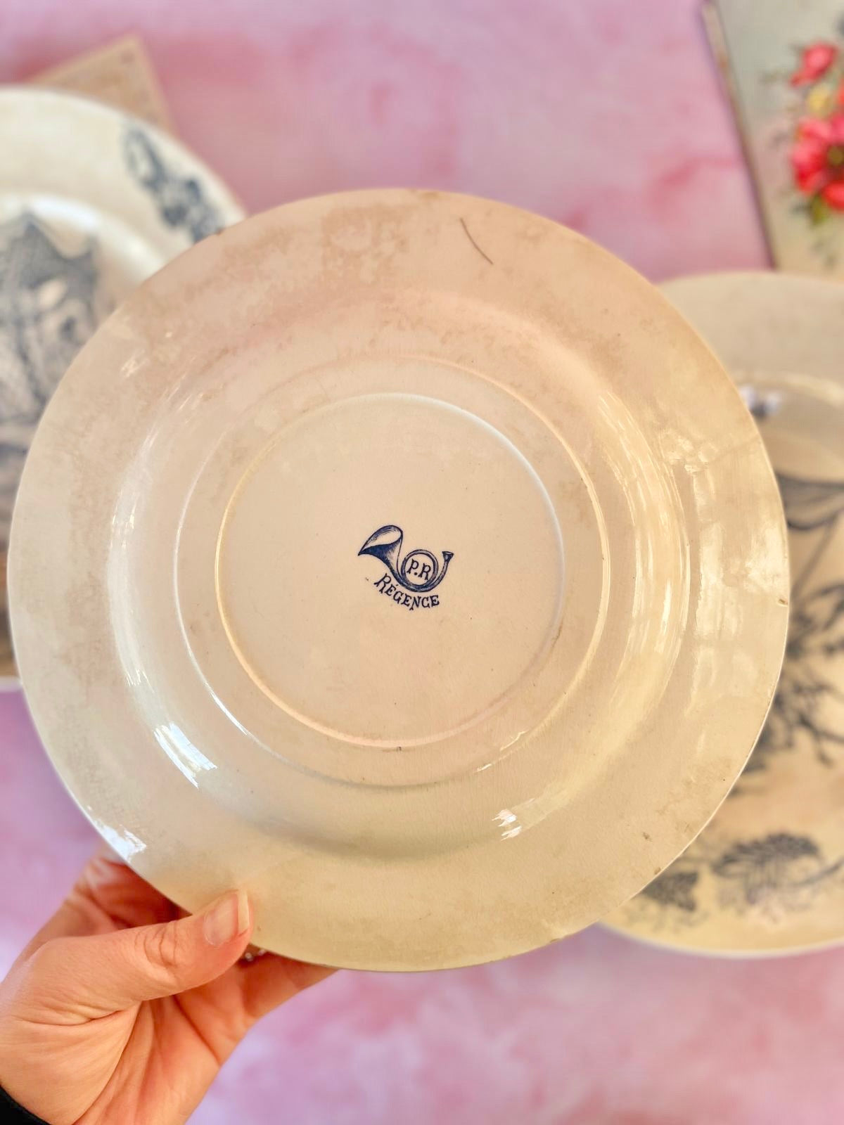 Assiettes Terre de Fer Régence (6)