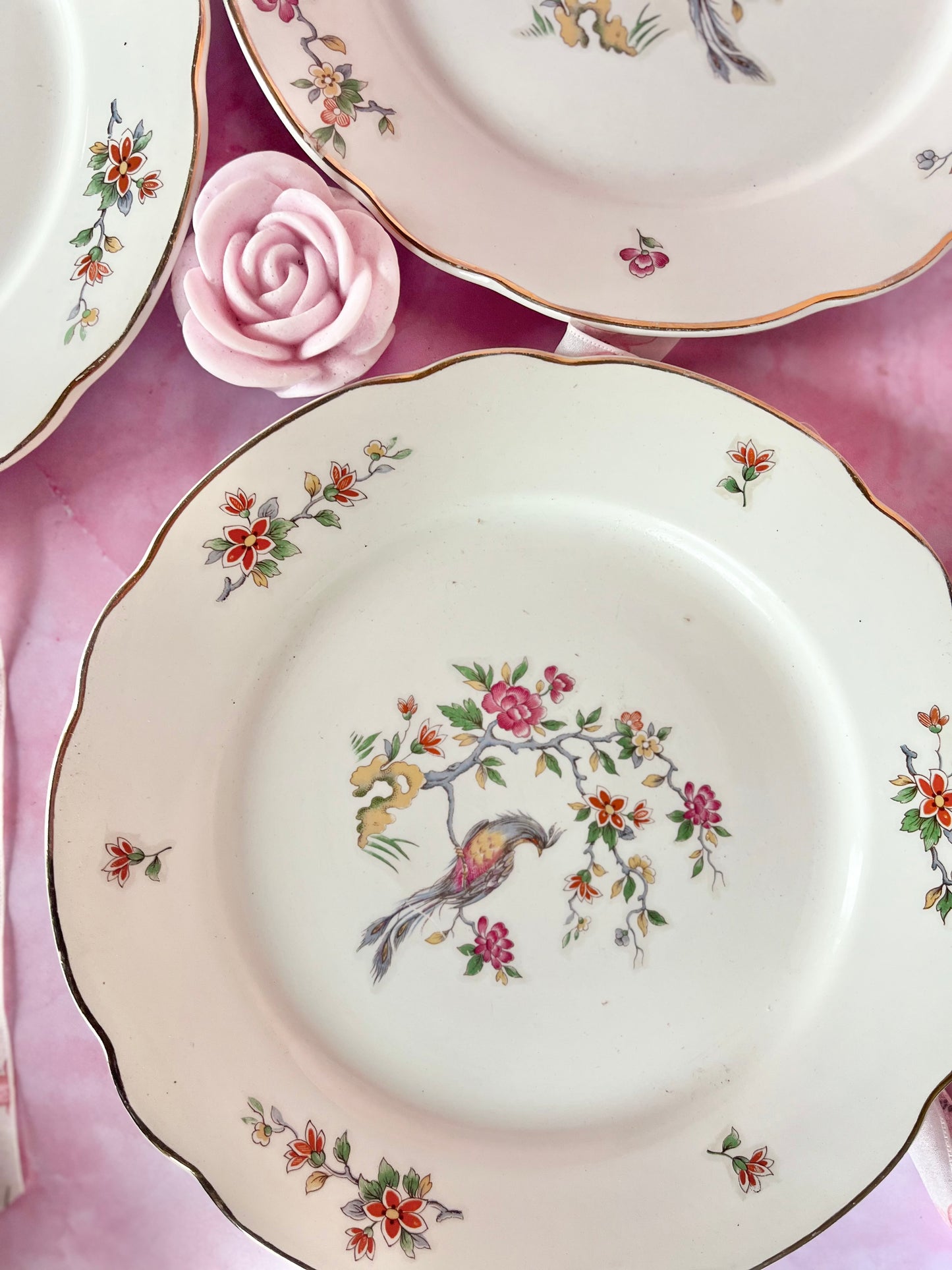 Assiettes plates Digoin Condé (3)