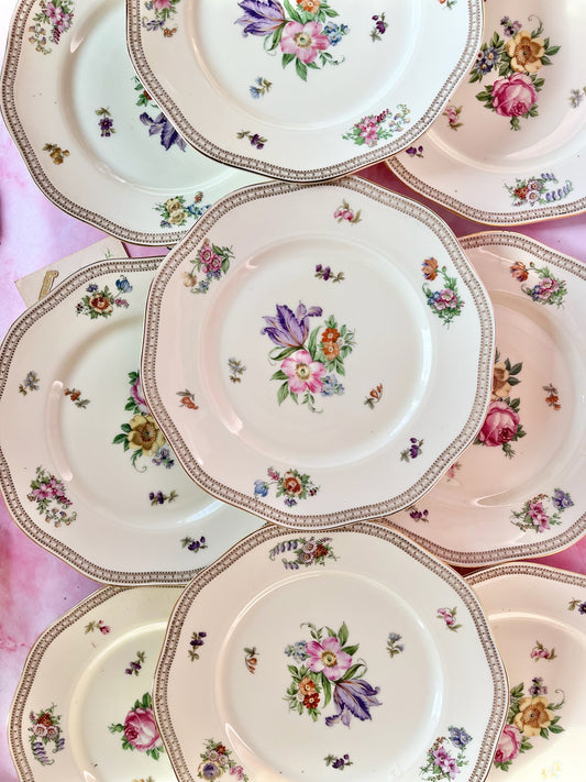 Assiettes plates Carlsbad (9)