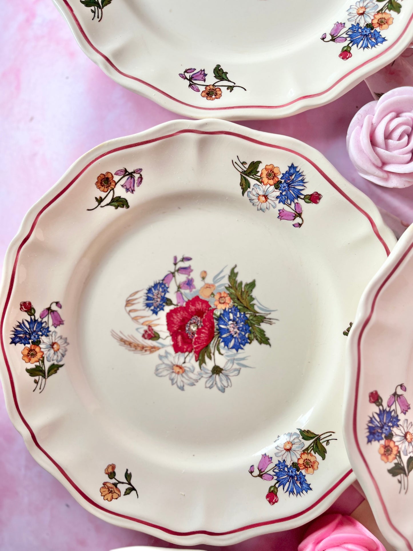 Assiettes plates Agreste (6)