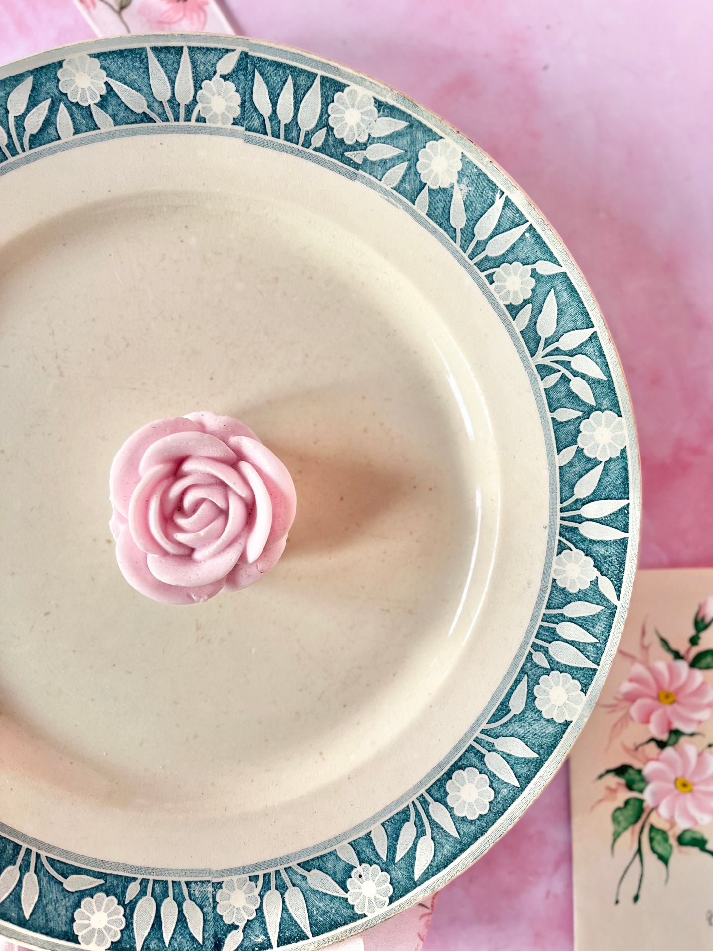 Plat Terre de Fer Varsovie