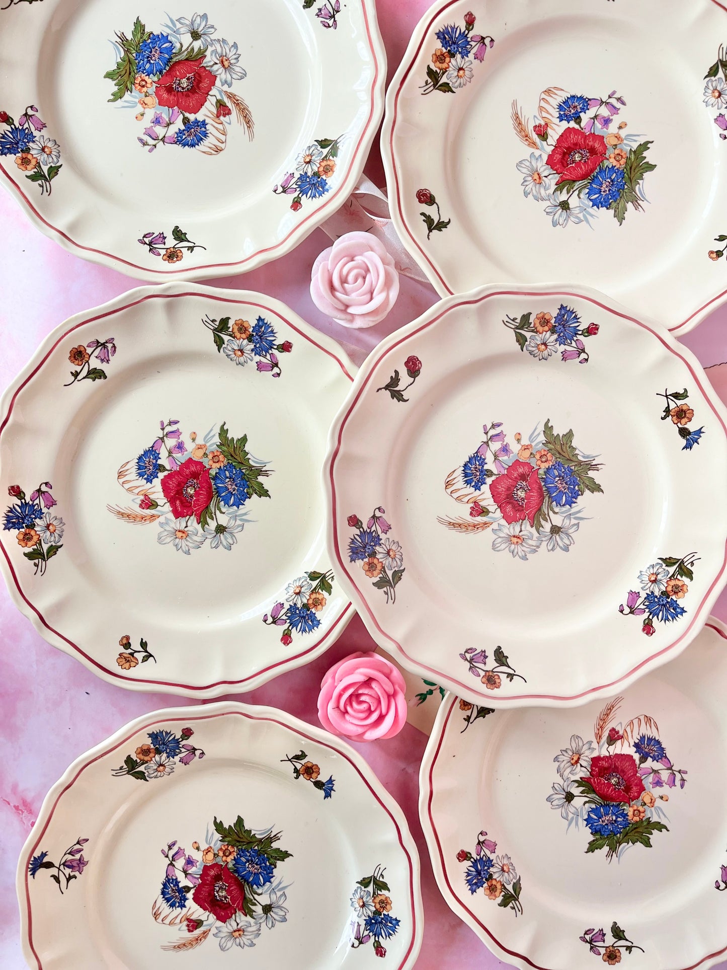 Assiettes plates Agreste (6)