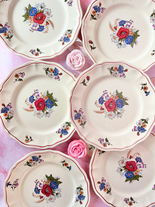 Assiettes plates Agreste (6)