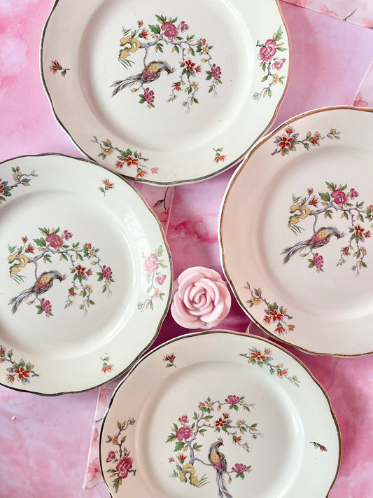 Assiettes à dessert Digoin Condé (4)