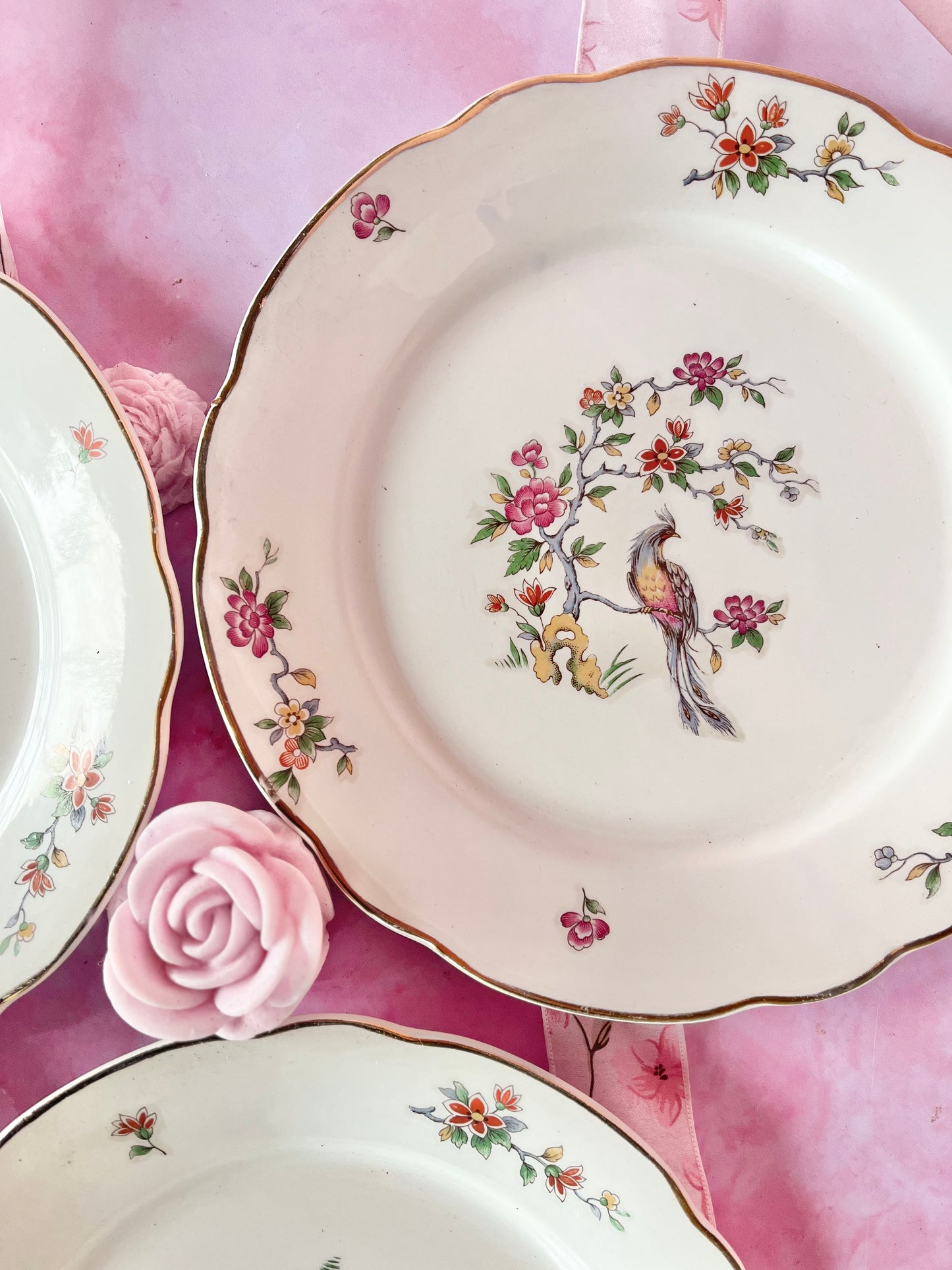 Assiettes plates Digoin Condé (3)