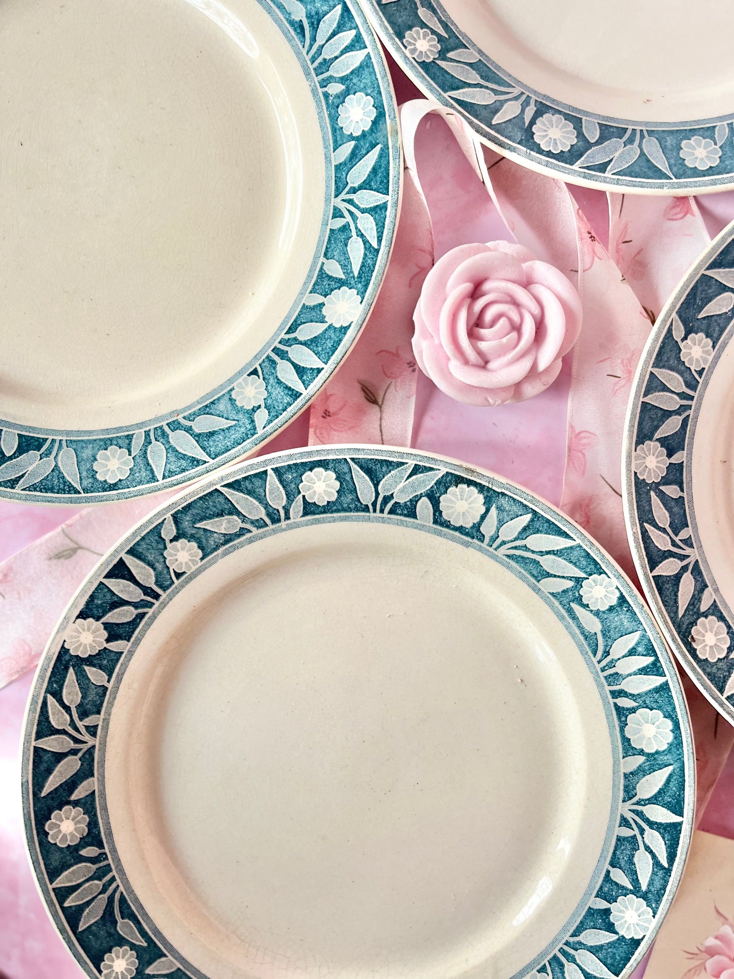 Assiettes Terre de Fer Varsovie (4)