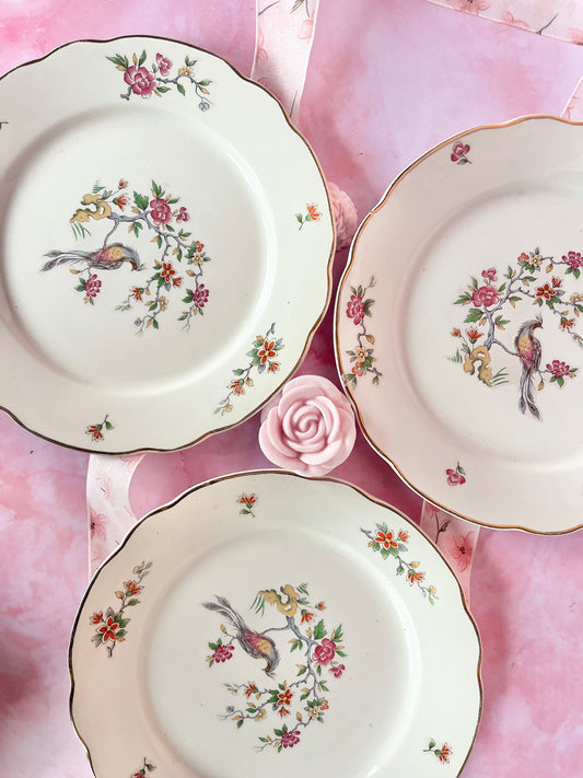 Assiettes plates Digoin Condé (3)