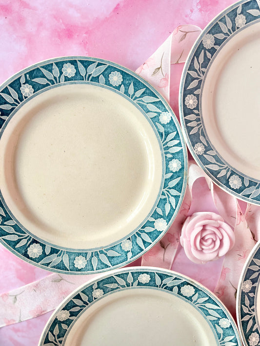 Assiettes Terre de Fer Varsovie (4)