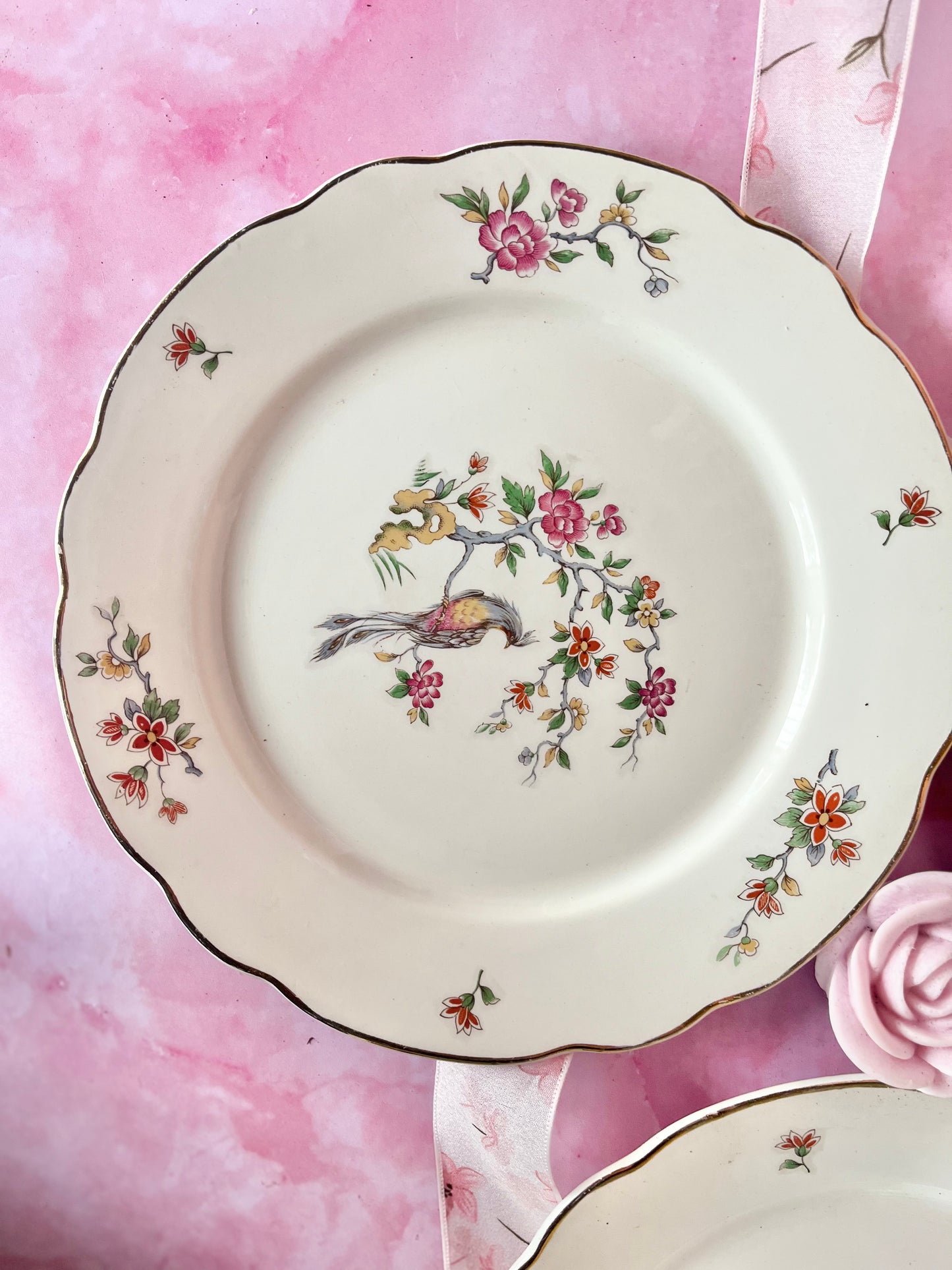 Assiettes plates Digoin Condé (3)