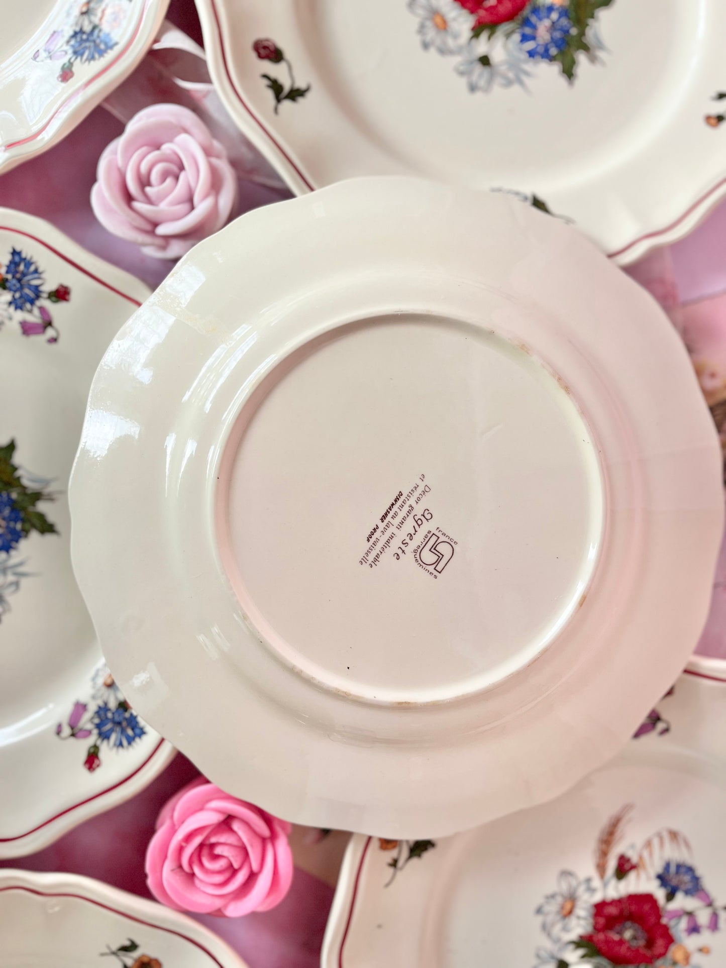 Assiettes plates Agreste (6)