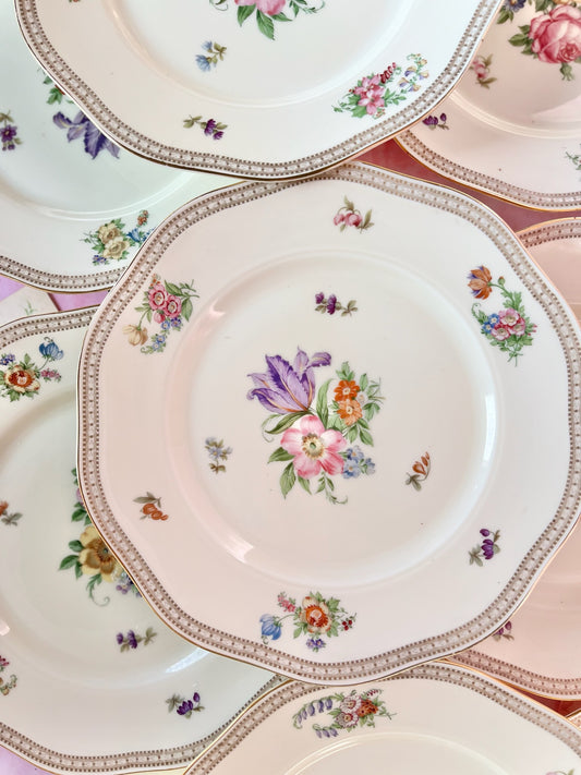 Assiettes plates Carlsbad (9)