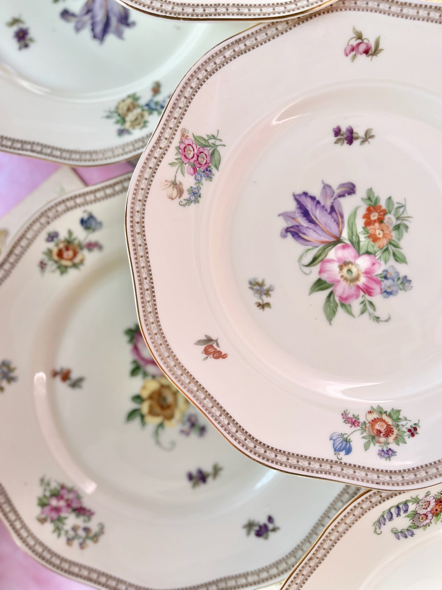 Assiettes plates Carlsbad (9)