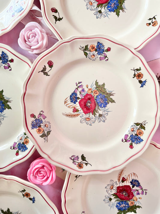 Assiettes plates Agreste (6)