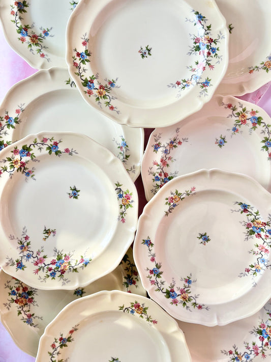 Assiettes plates Ancienne Manufacture Limoges (10)