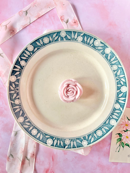 Plat Terre de Fer Varsovie