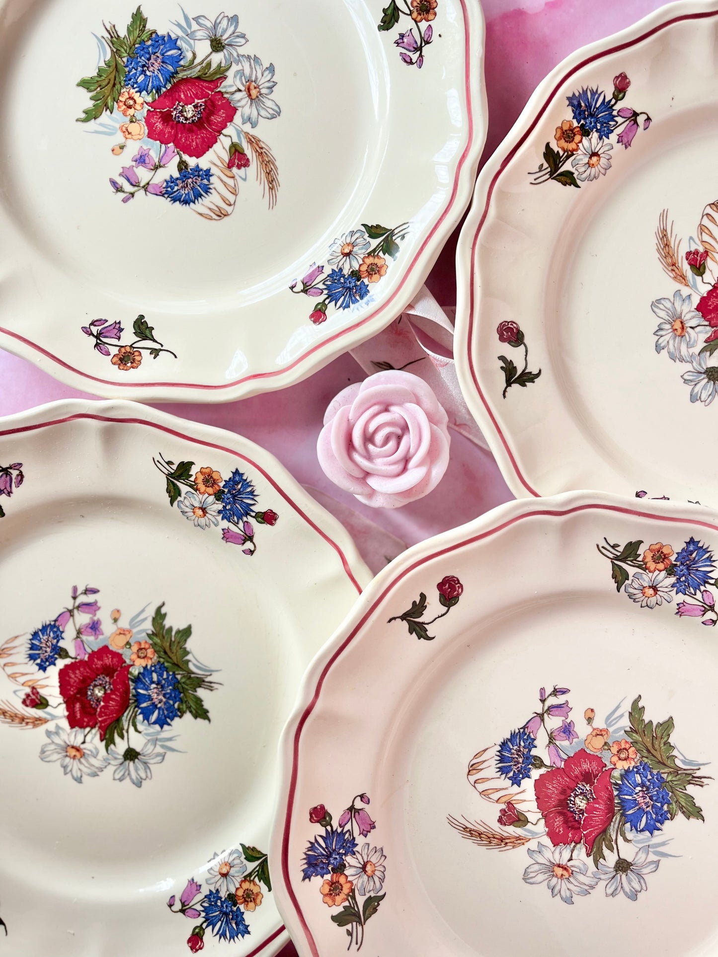 Assiettes plates Agreste (6)