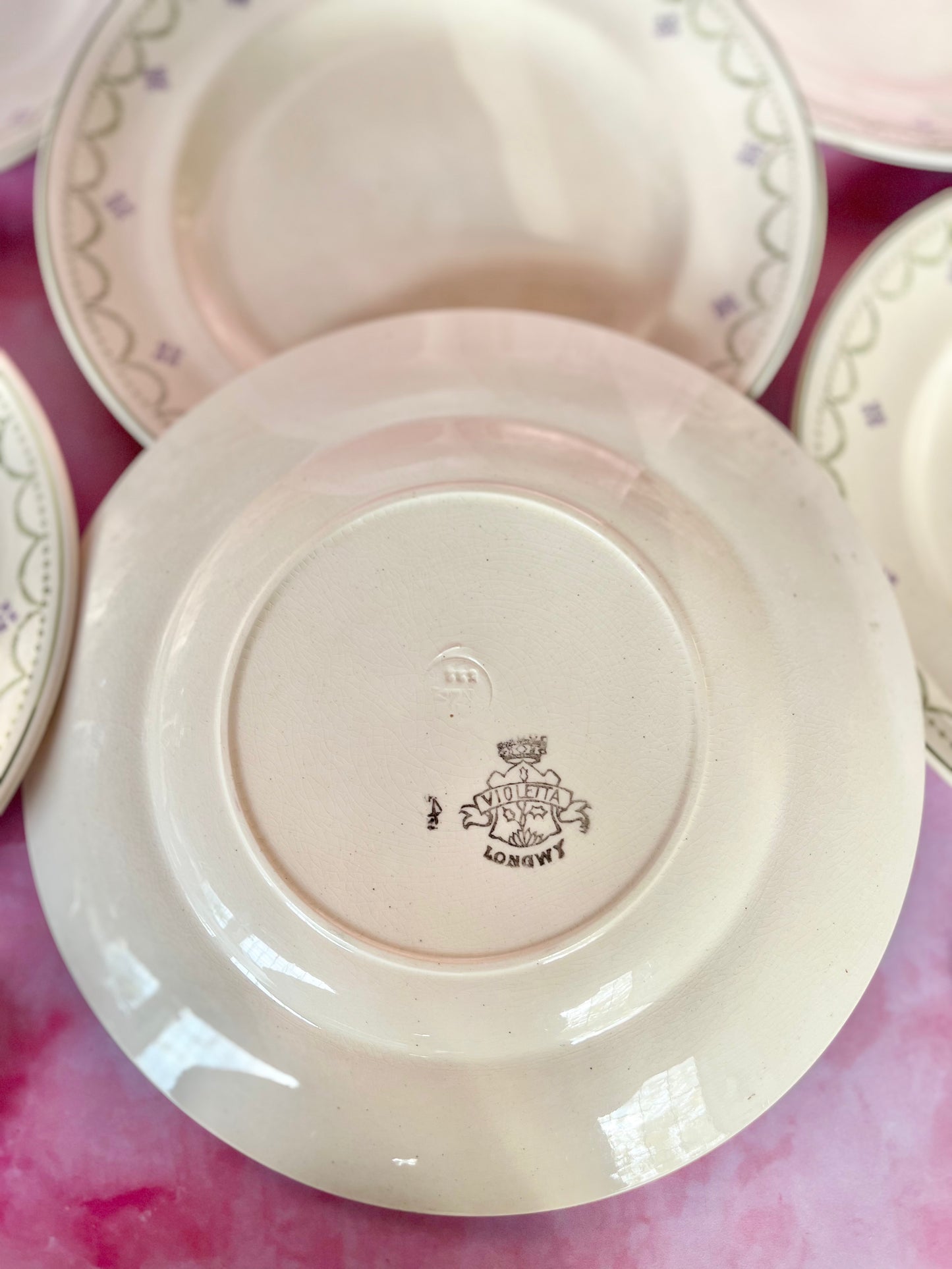 Assiettes plates Terre de Fer Longwy Violetta (6)