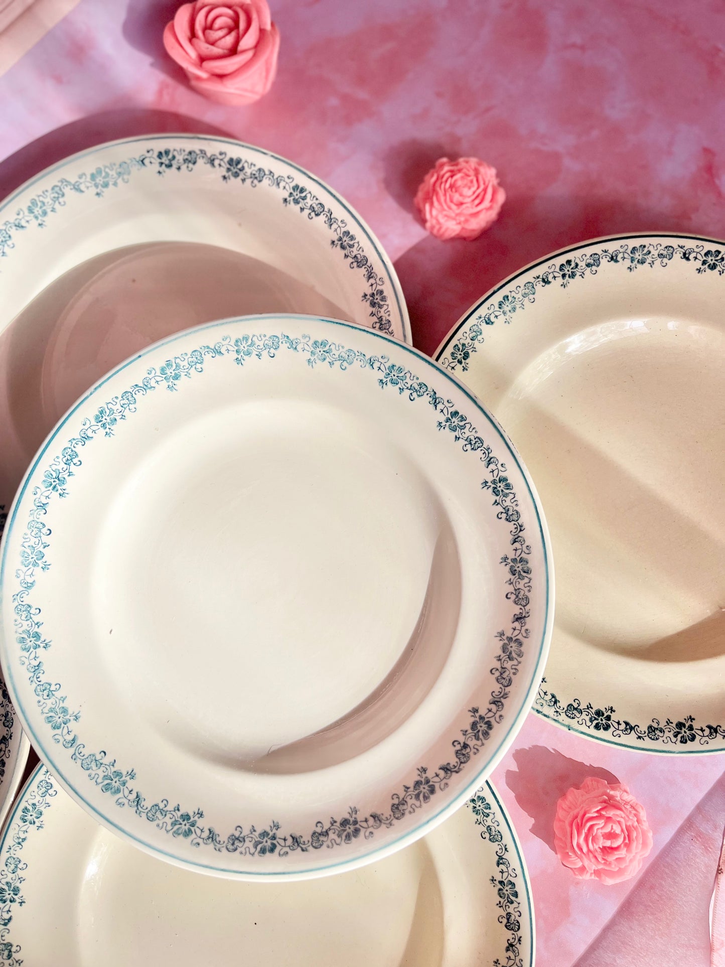 Assiettes plates Longwy Capucine (5)