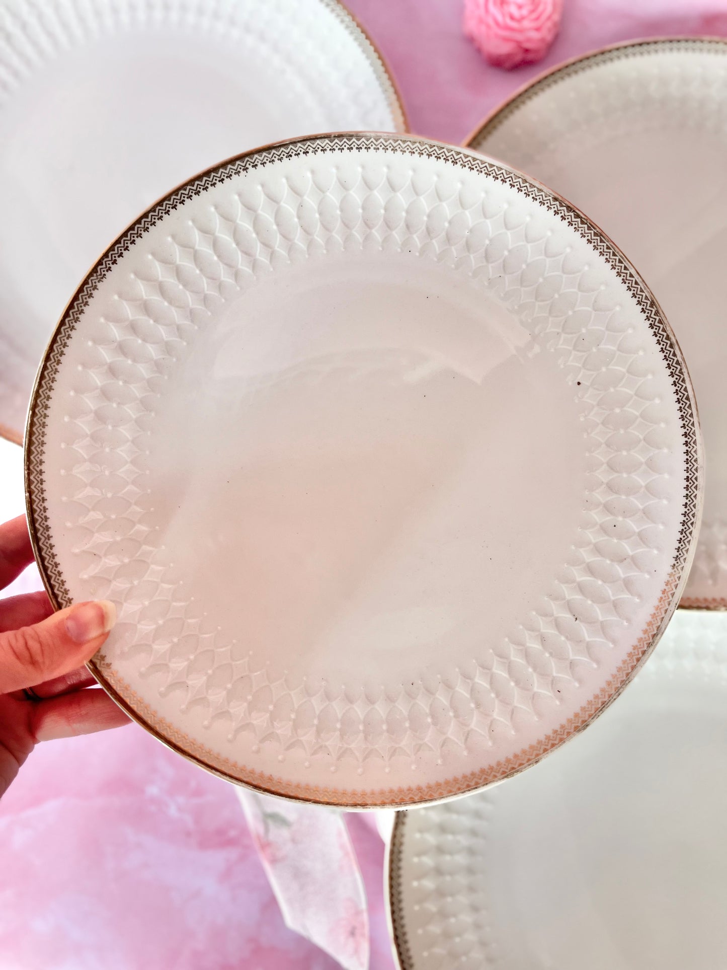 Assiettes plates Bavaria (4)