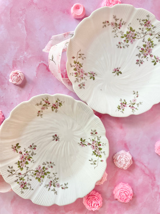 Assiettes Limoges Dorothée (2)