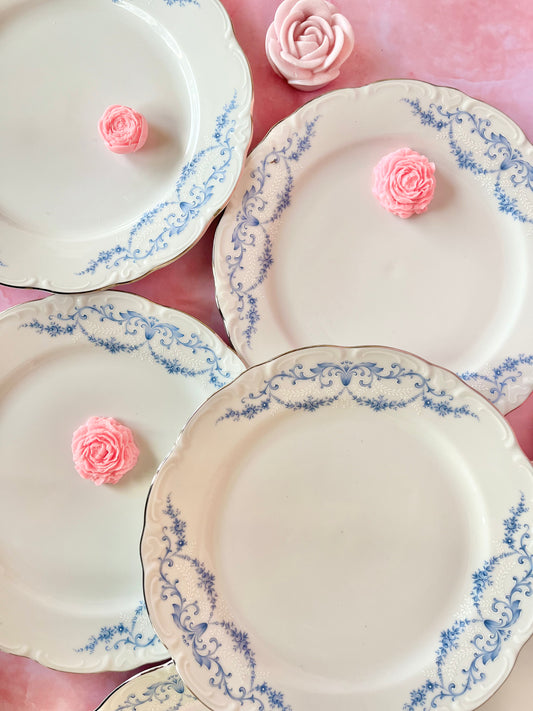 Assiettes plates Schirnding (6)