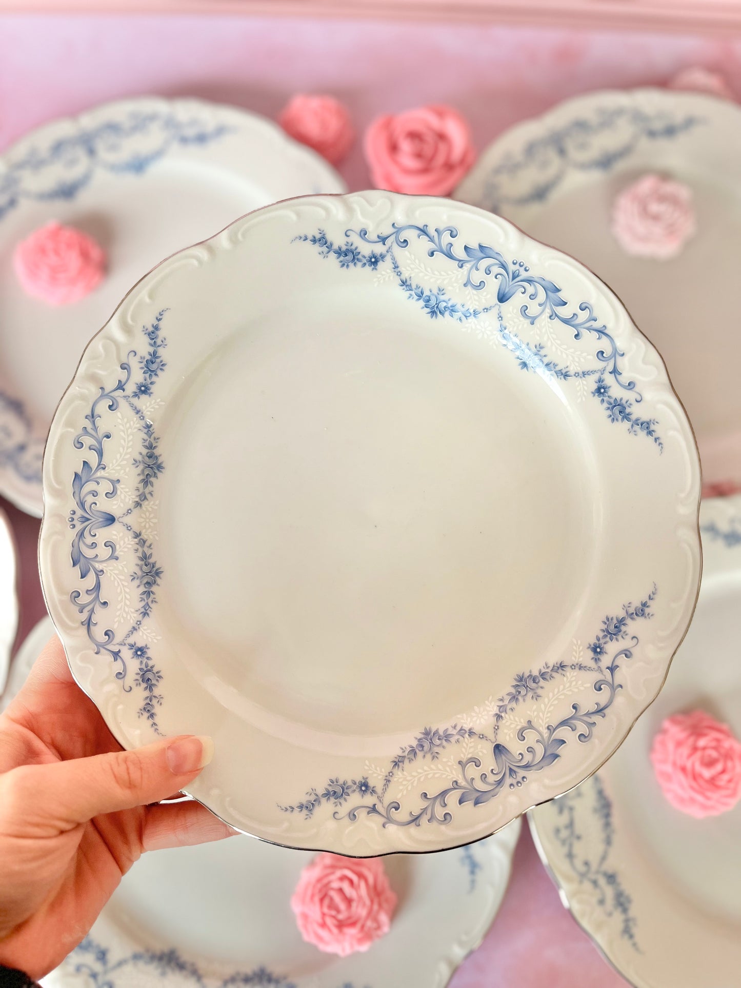 Assiettes plates Schirnding (6)