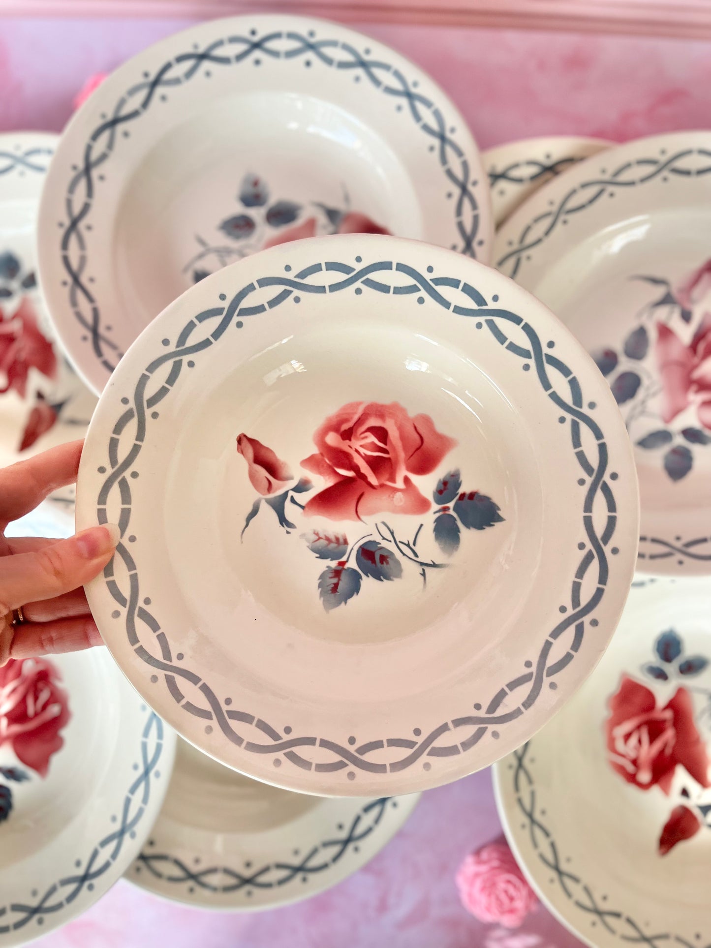 Assiettes creuses Digoin Janine (10)