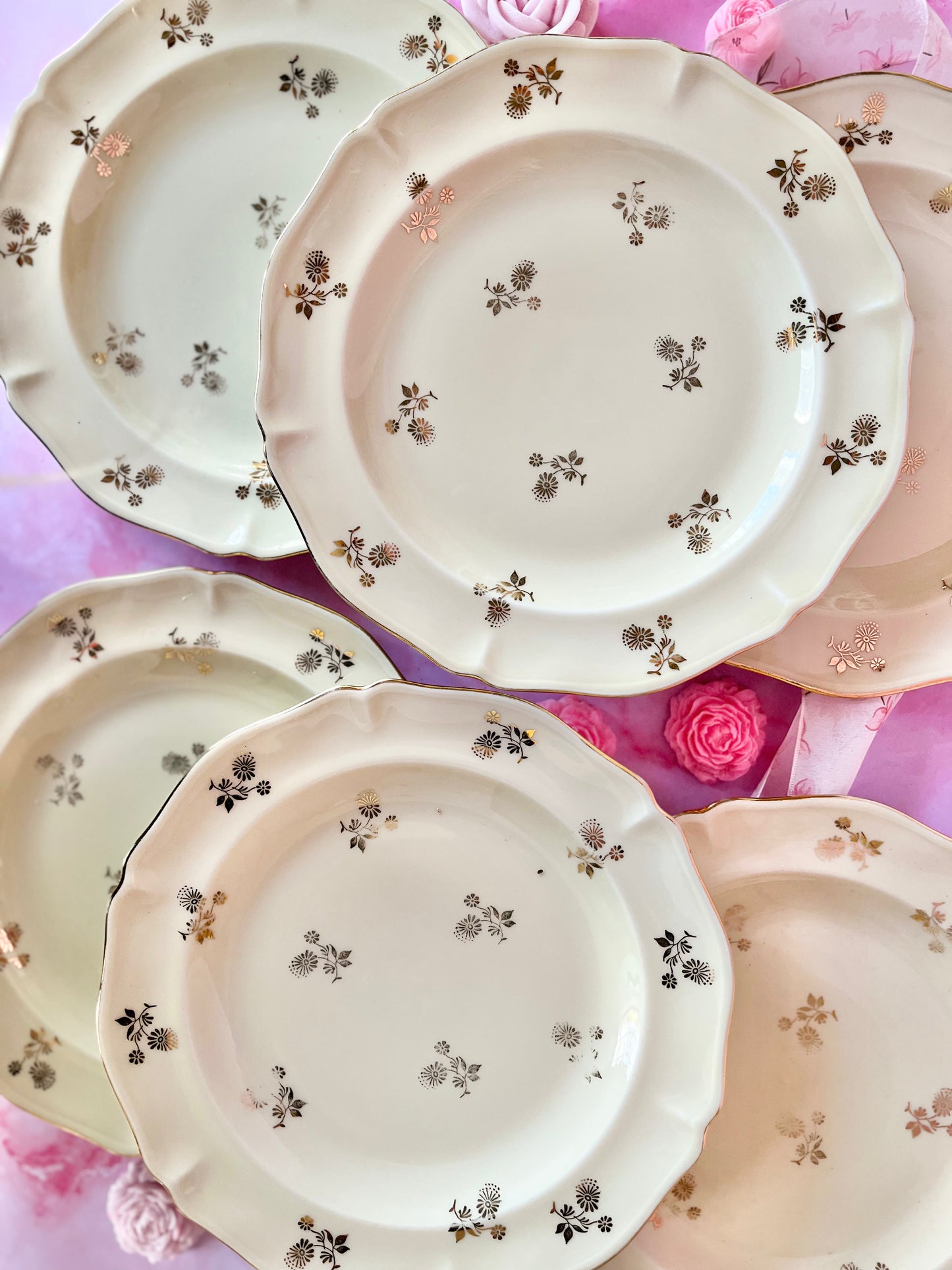 Assiettes plates Limoges Dorothée (6)