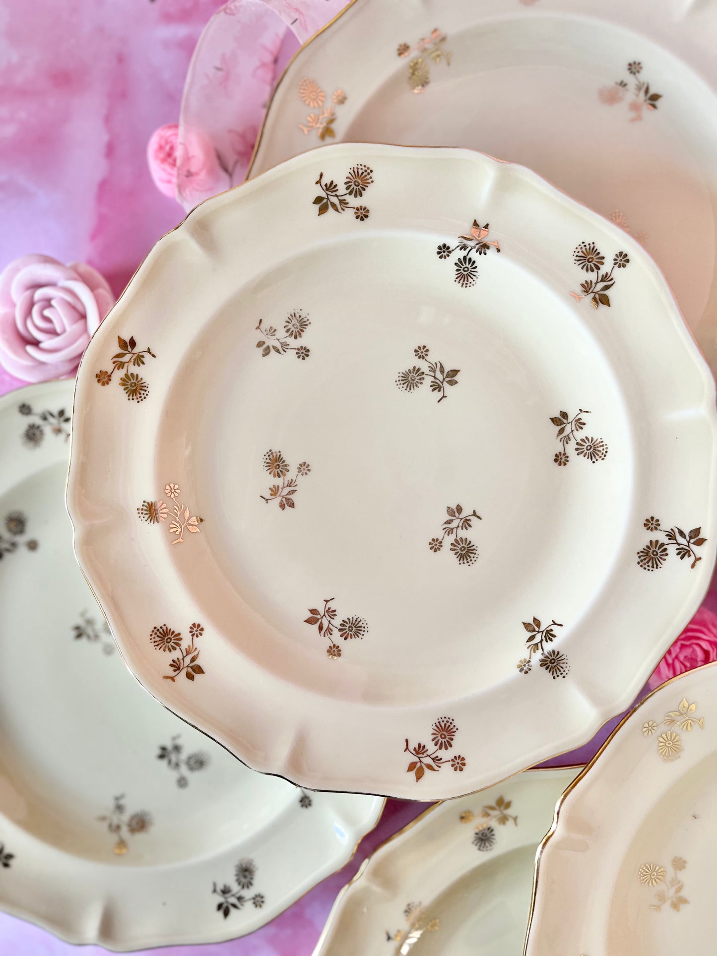 Assiettes plates Limoges Dorothée (6)