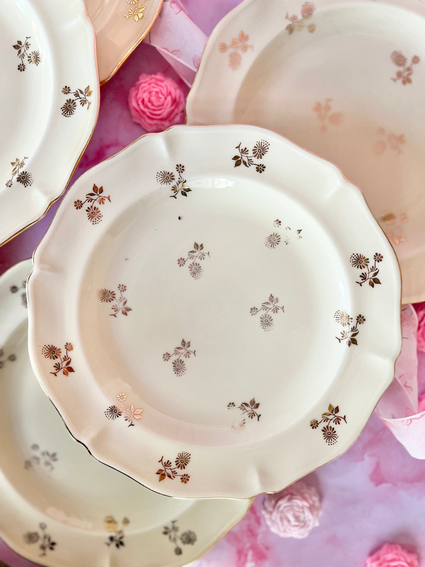 Assiettes plates Limoges Dorothée (6)