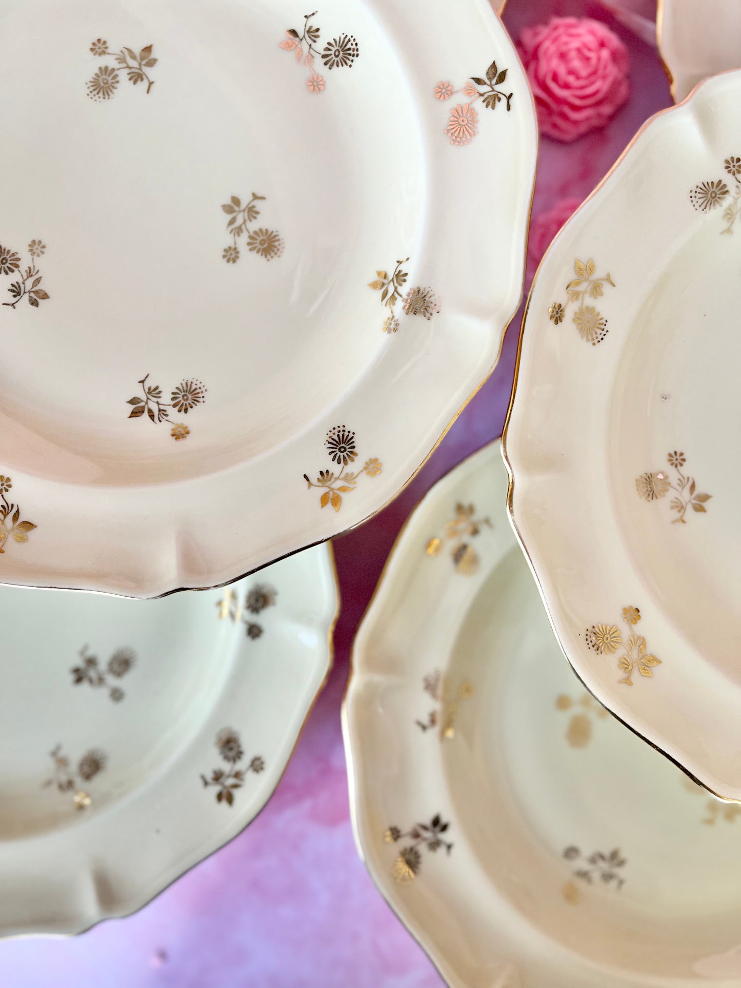 Assiettes plates Limoges Dorothée (6)