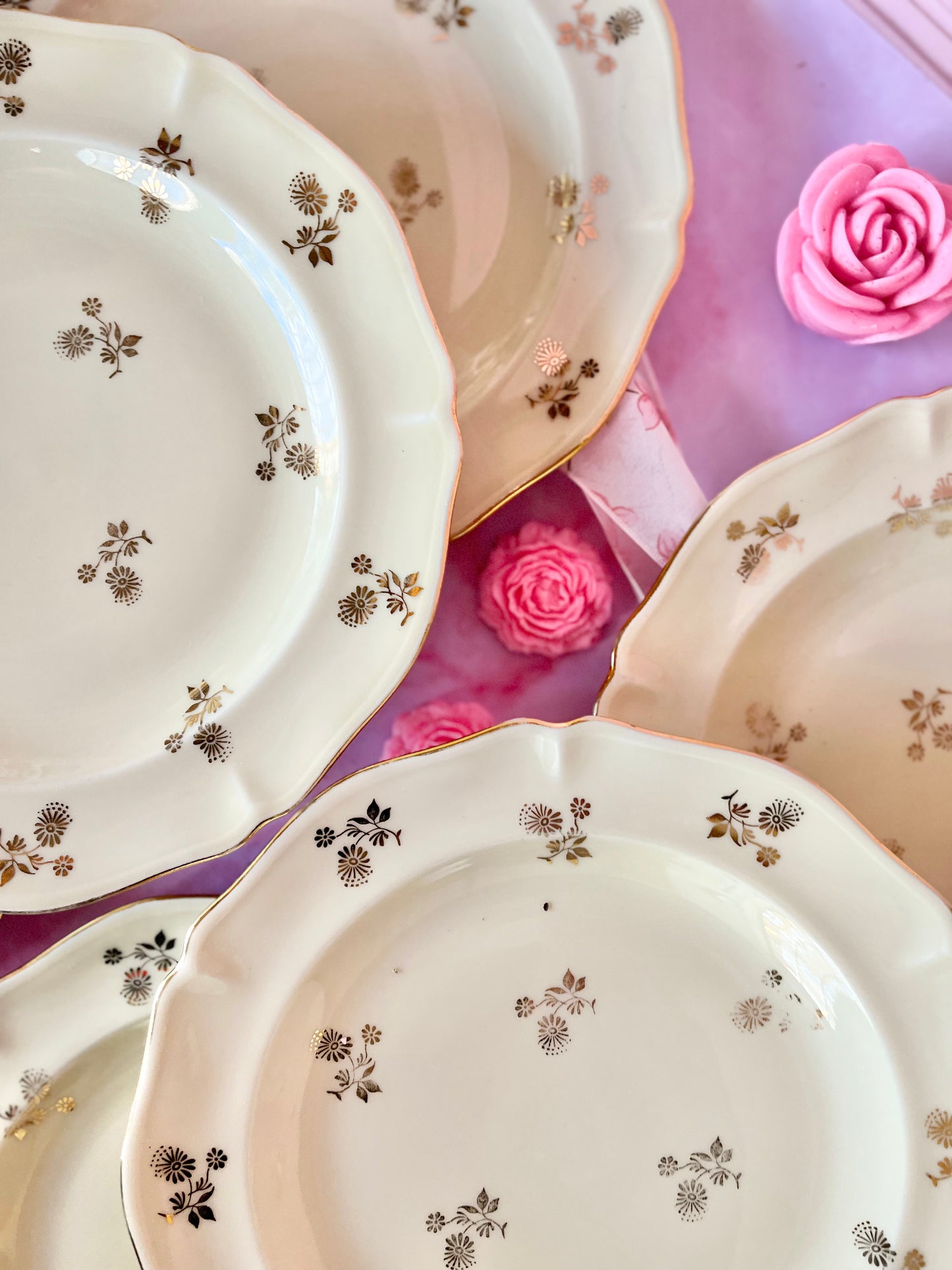 Assiettes plates Limoges Dorothée (6)