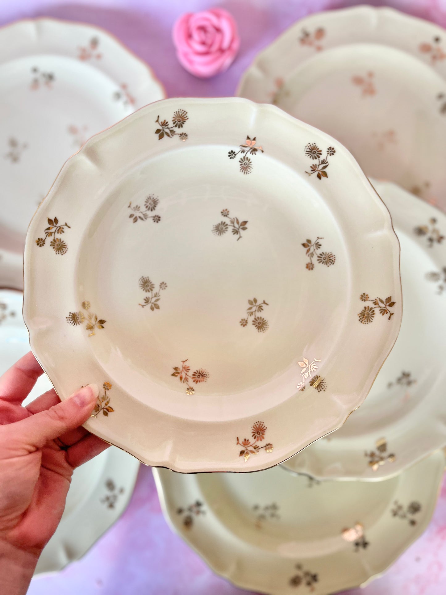 Assiettes plates Limoges Dorothée (6)