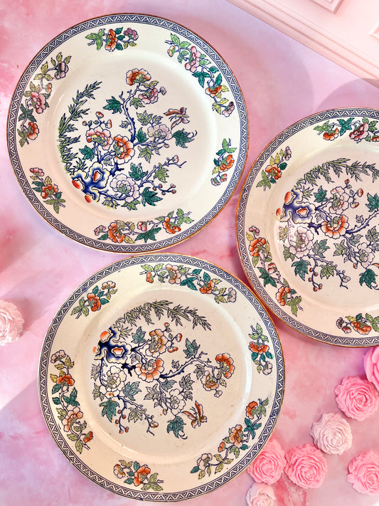 Assiettes plates Nippon (3)
