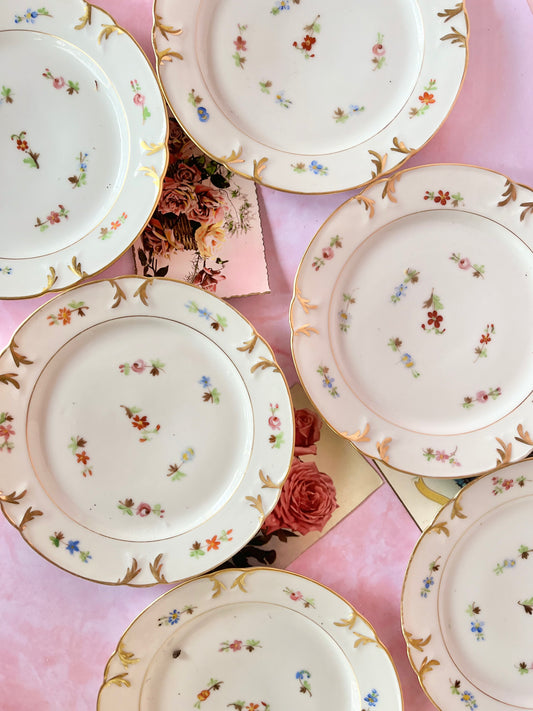 Assiettes à dessert Léane (6)