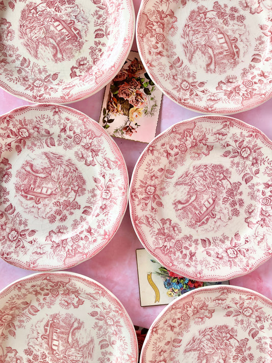 Assiettes plates Bridget (6)