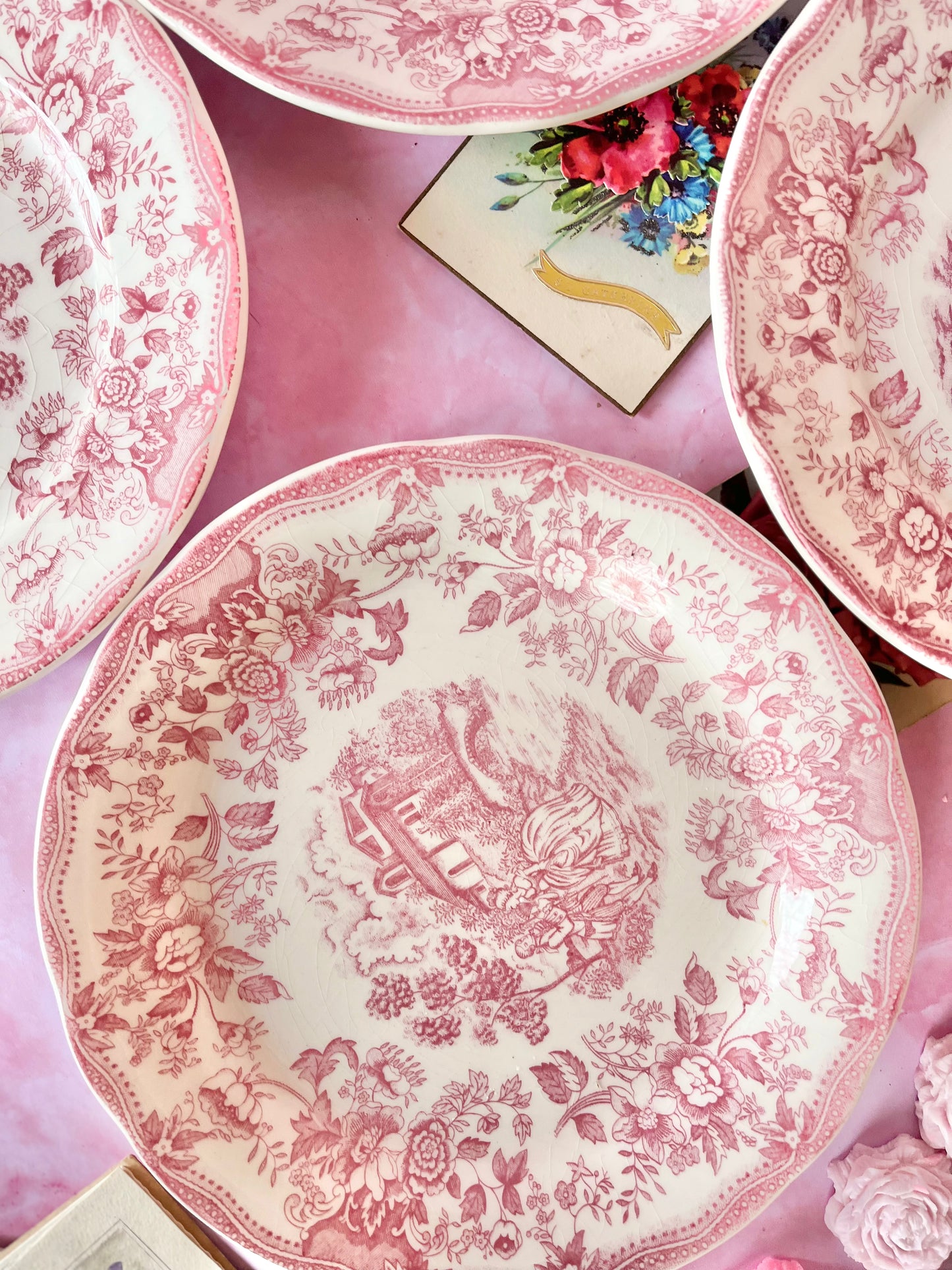 Assiettes plates Bridget (6)