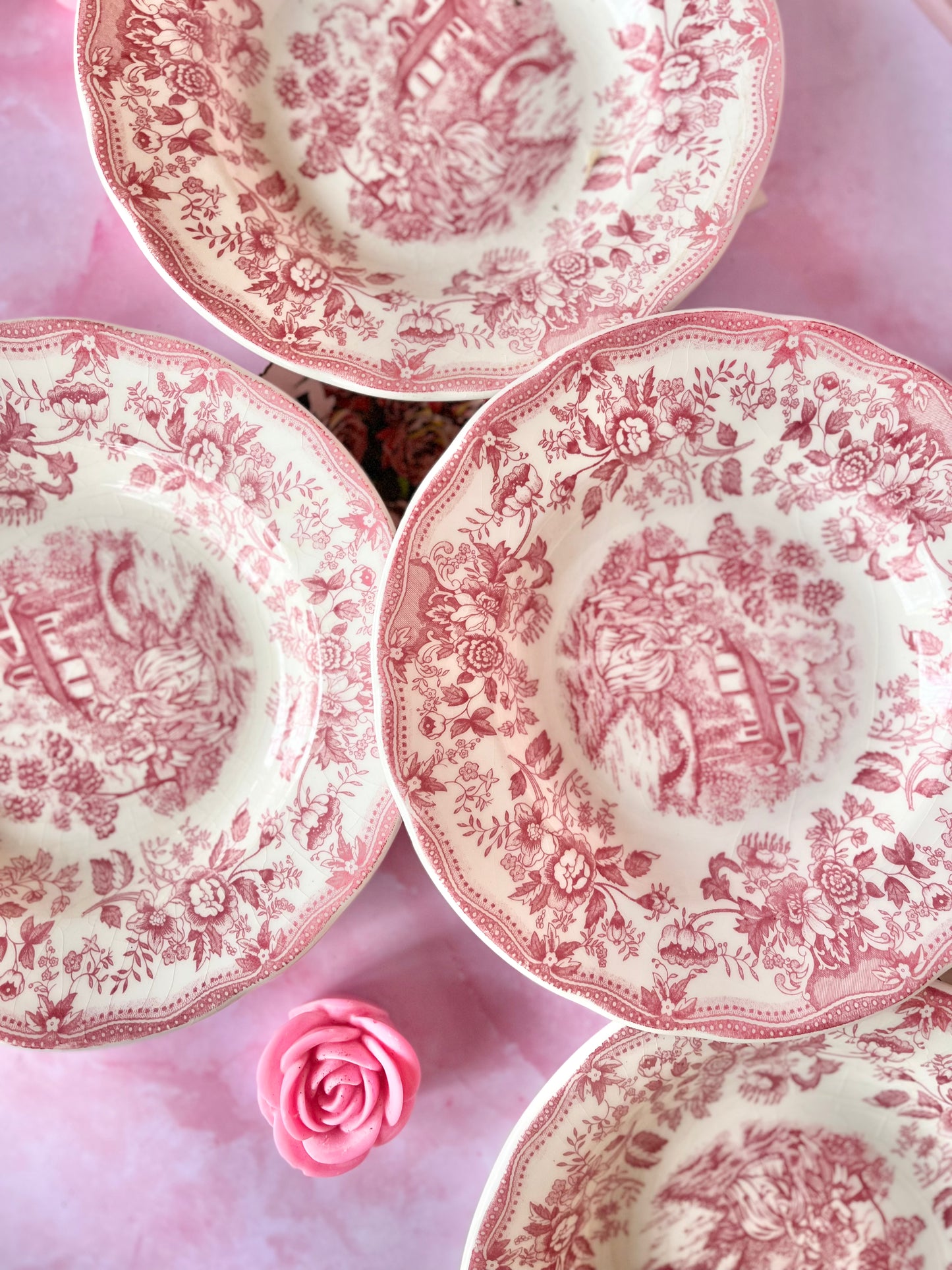 Assiettes creuses Bridget (5)