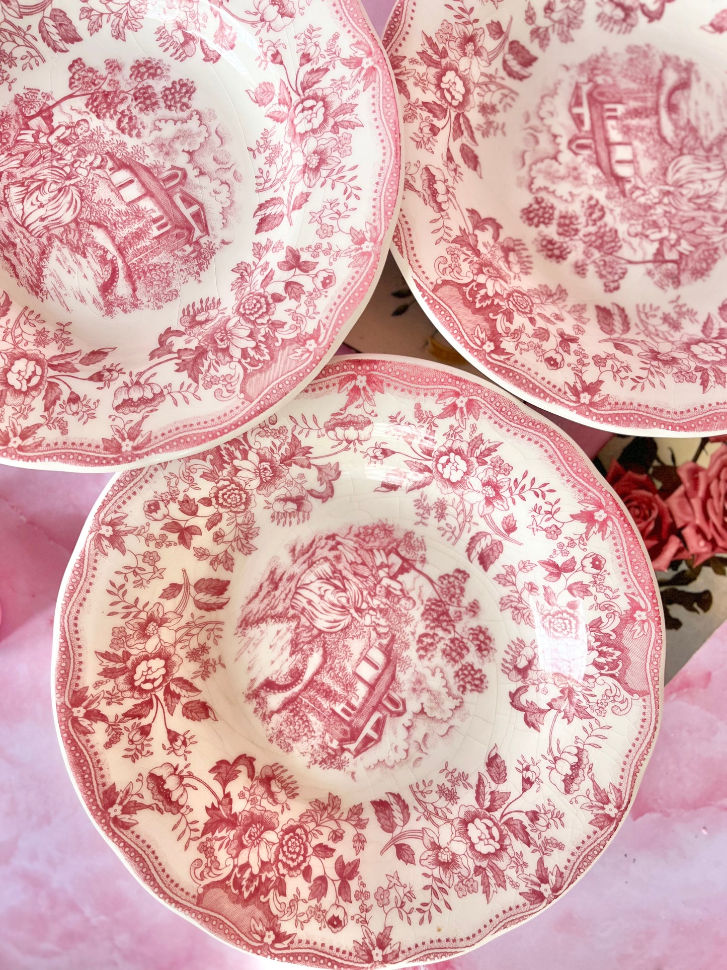 Assiettes creuses Bridget (5)