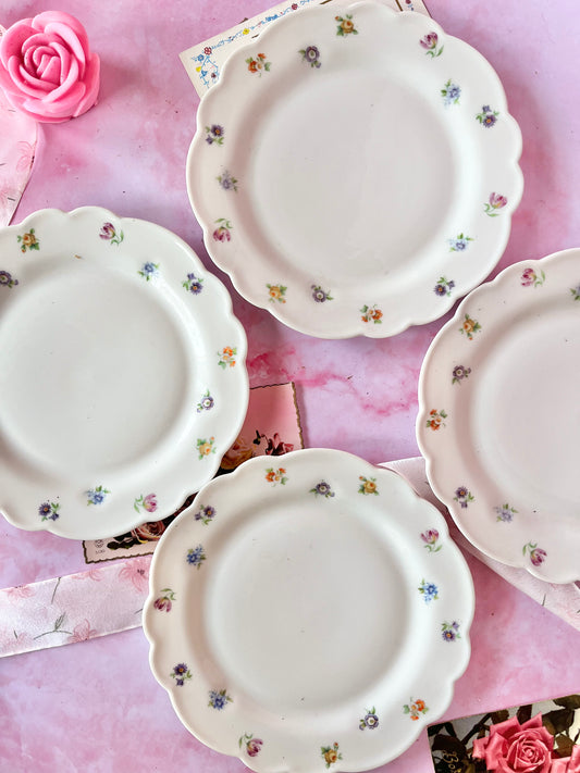 Assiettes Chalais Nadaud Limoges (4)