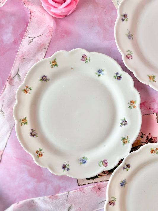 Assiettes Chalais Nadaud Limoges (4)